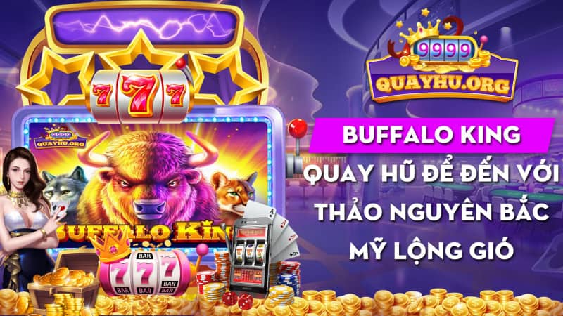 Buffalo King | Quay hũ đến với 1 thảo nguyên Bắc Mỹ lộng gió