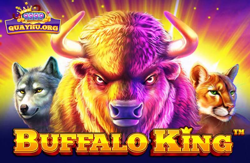 Buffalo King | Quay hũ đến với 1 thảo nguyên Bắc Mỹ lộng gió